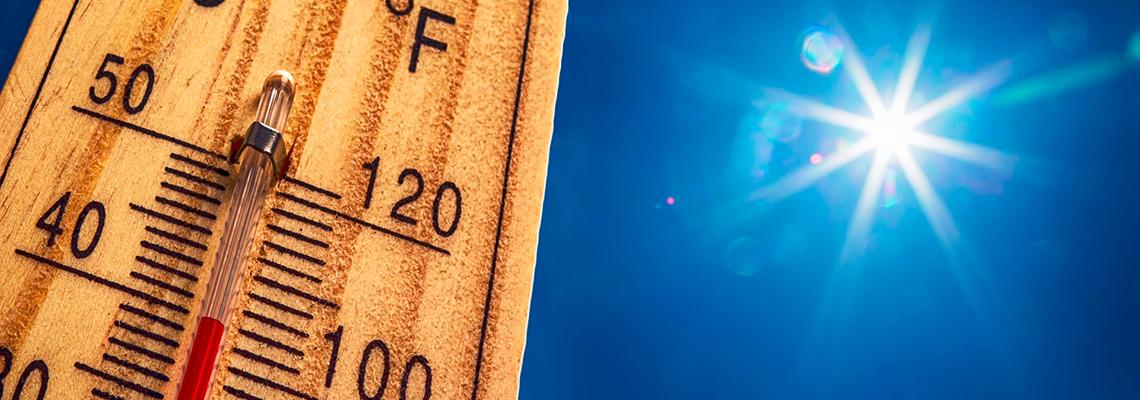 Tips for hot weather