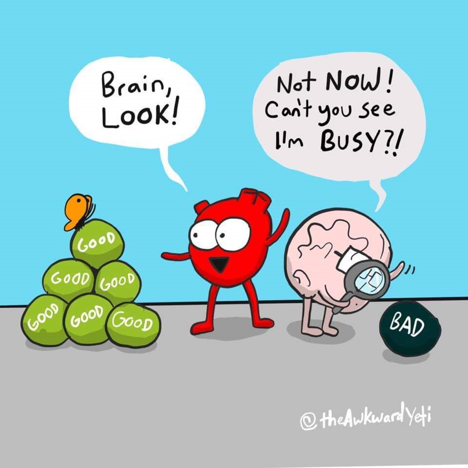 Brain