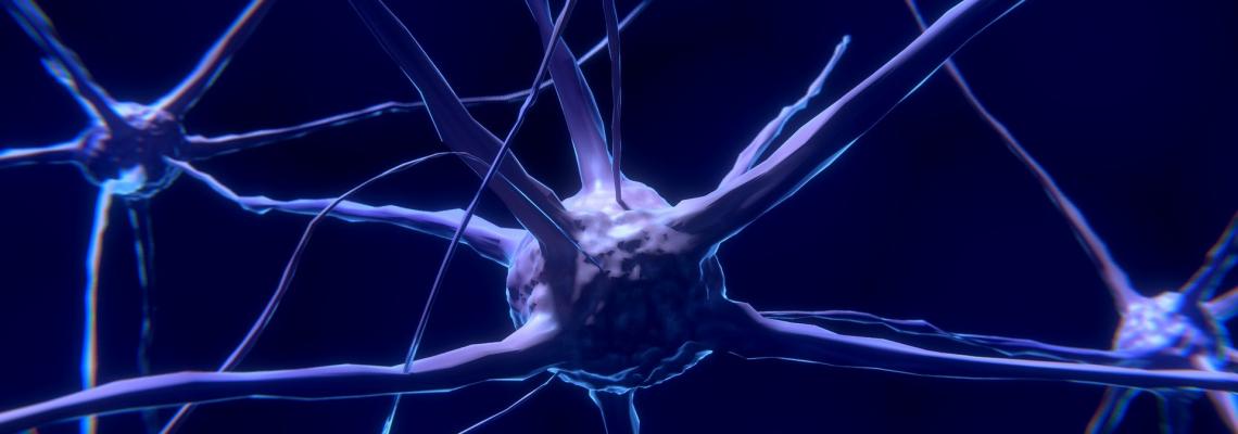 Cognitive remediation to rehabilitate the brain