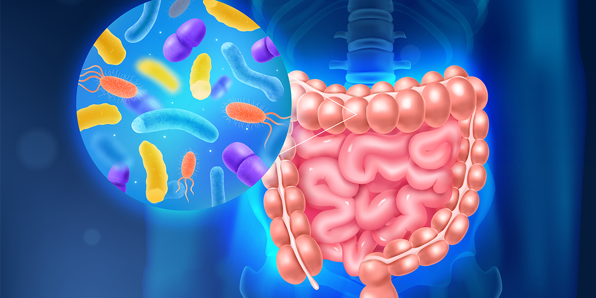 L’importance du microbiote intestinal pour notre santé physique et émotionnelle