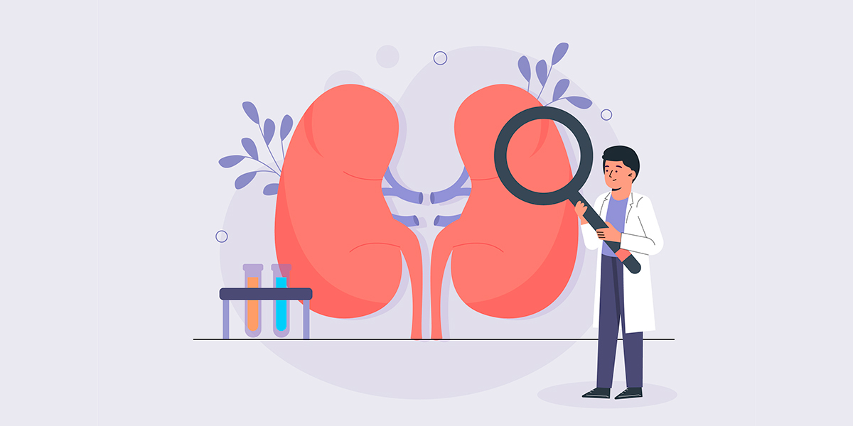 Comment prendre soin de ses reins au quotidien ?