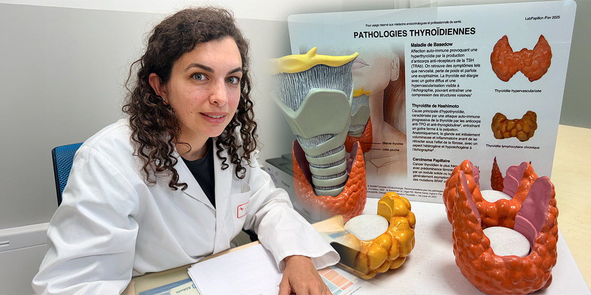 Thyroïde déréglée : les grands effets d’une petite glande