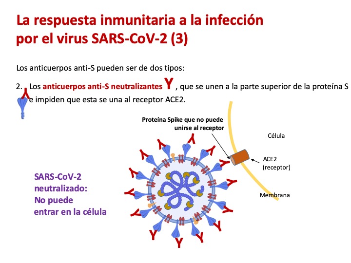 serologia
