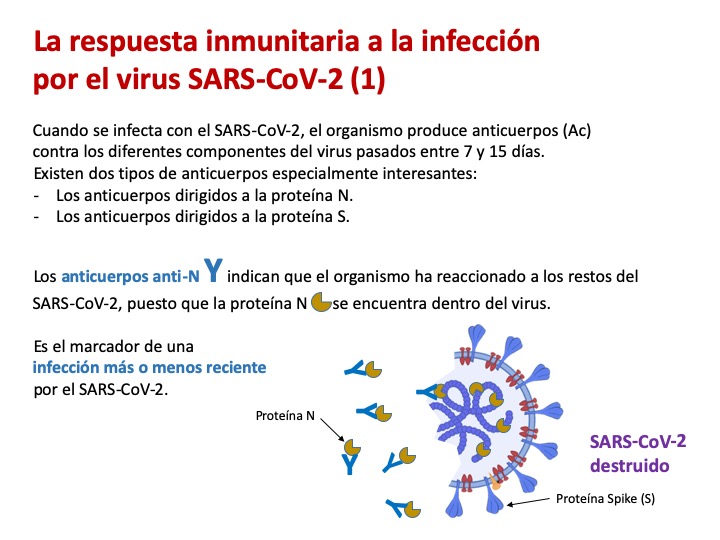 serology