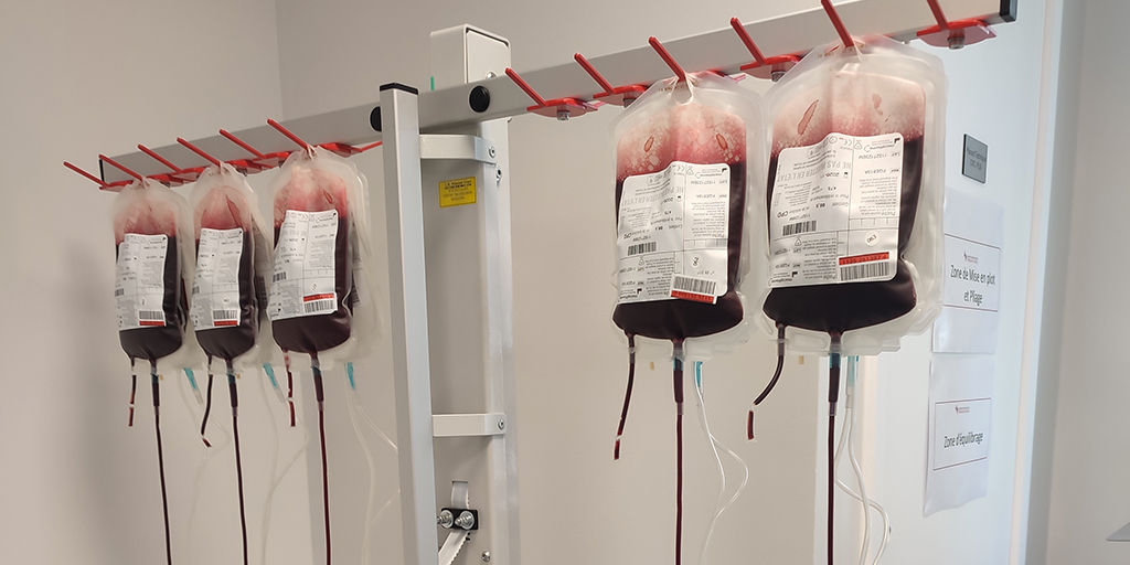 Una sacca, tre vite: perché serve veramente donare sangue?